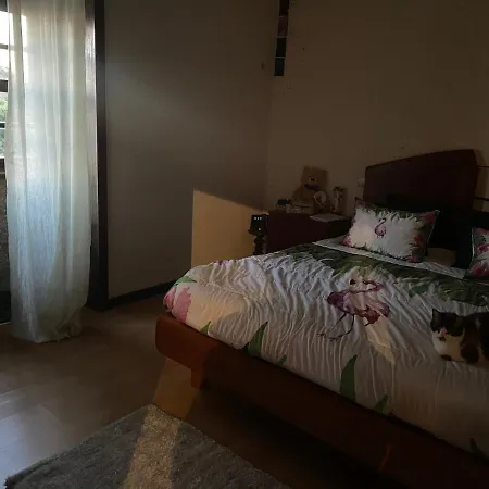 Ferienhaus Casa Da Chascua Braga